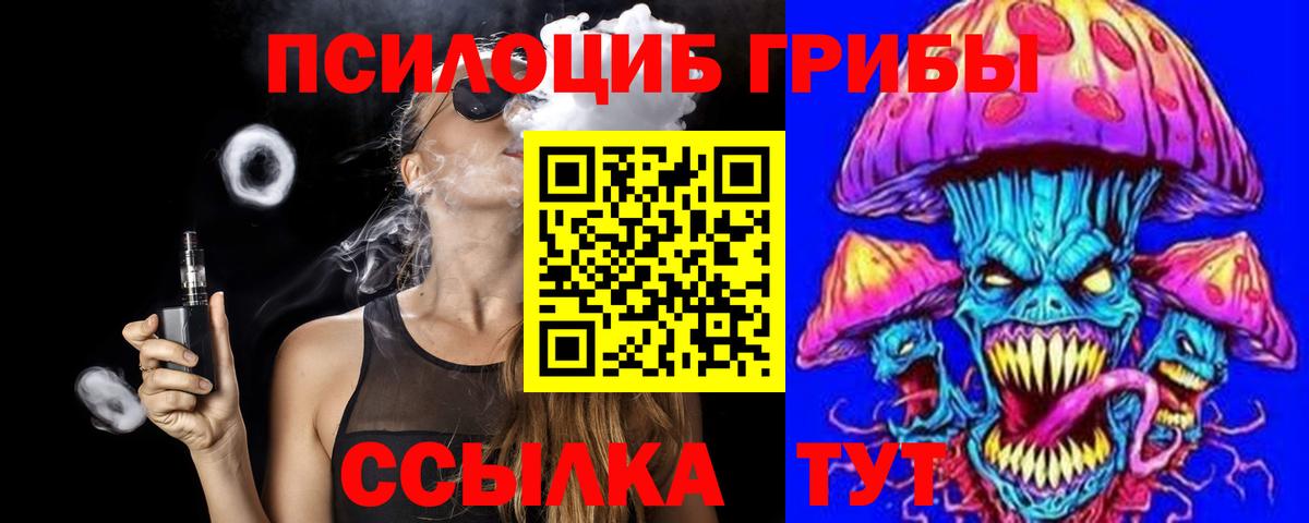 Галлюциногенные грибы Psilocybine cubensis Кашира